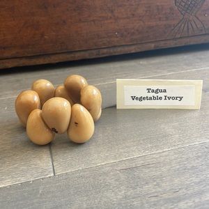 “Tagua” Bracelet 🇪🇨